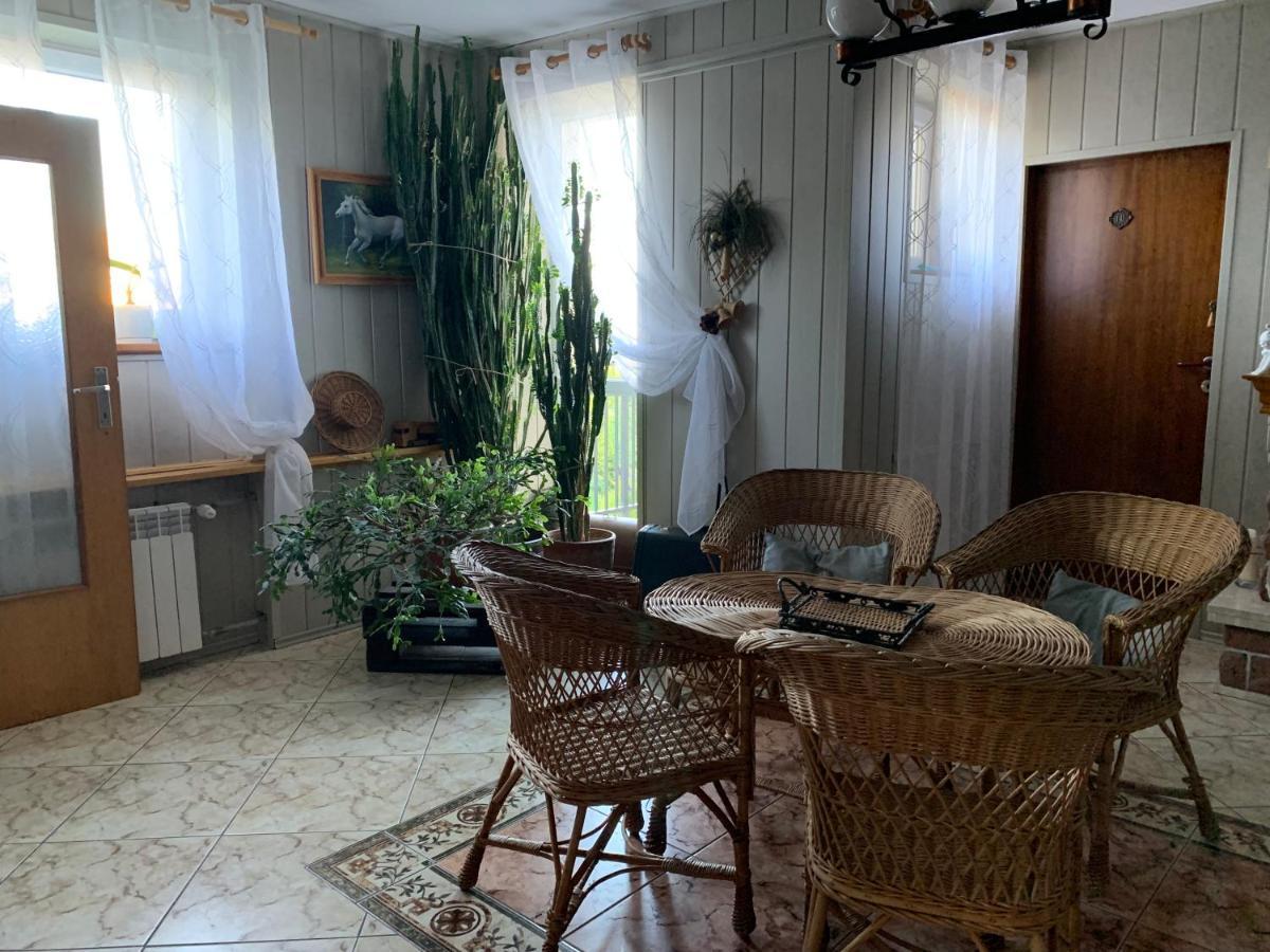 Pokoje Goscinne U Barbary Władysławowo Exterior foto